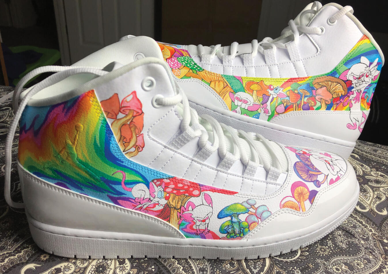Colorful Pinky and The Brain Themed Kicks!